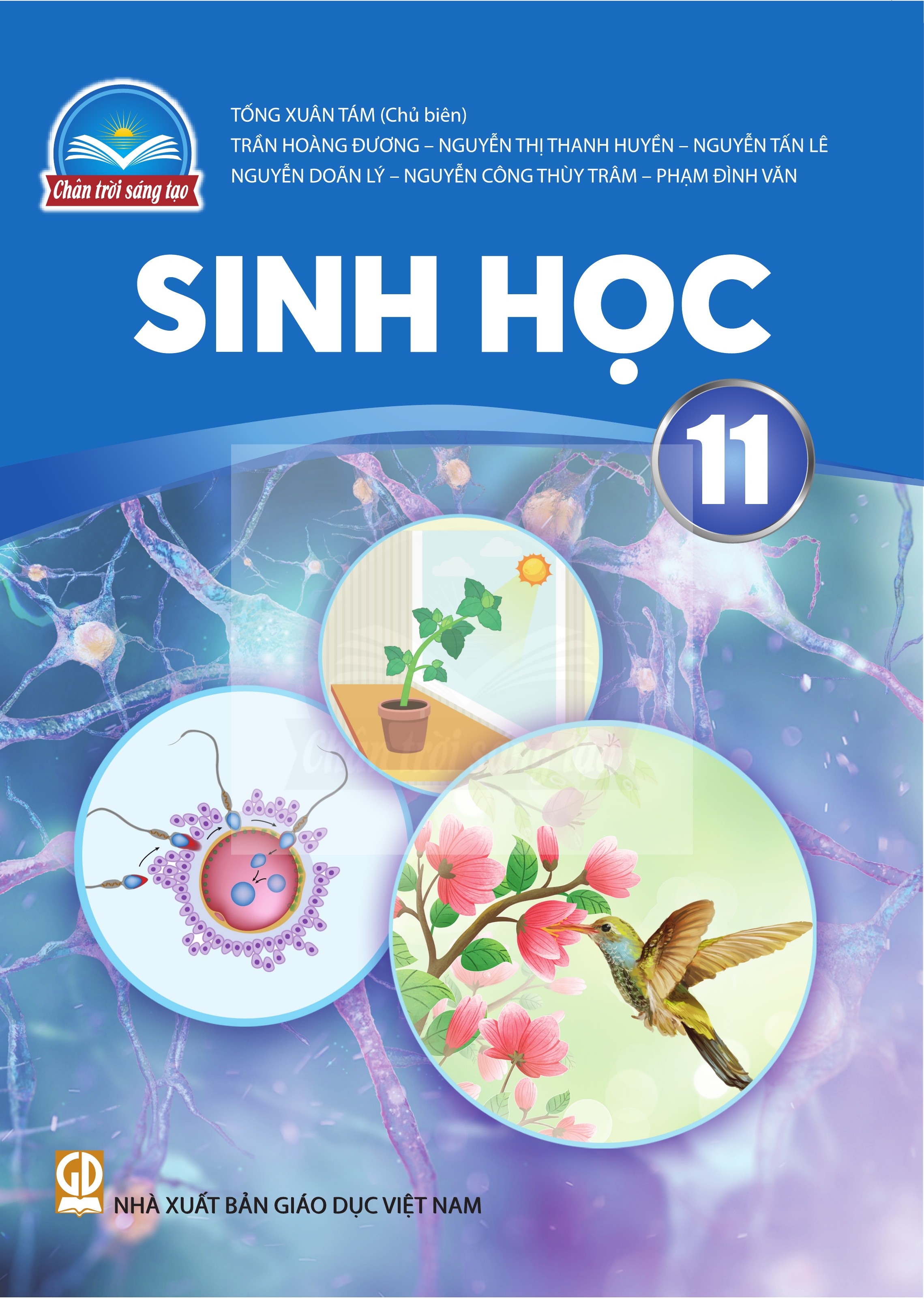 Sinh Học lớp 11 Chân Trời Sáng Tạo