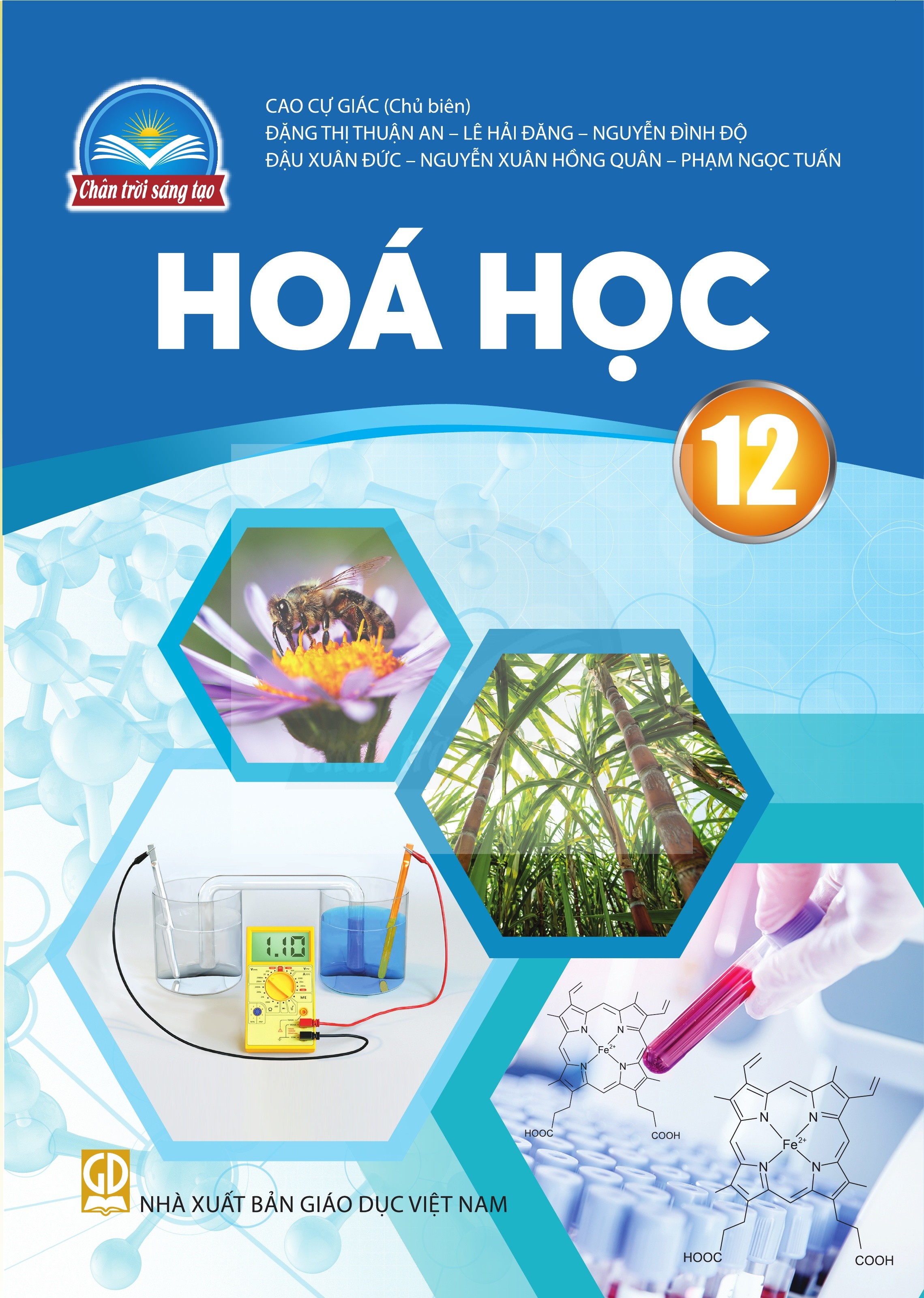 Hóa Học lớp 12 Chân Trời Sáng Tạo